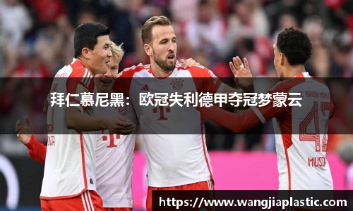 威客电竞下载