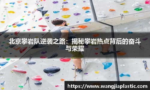 威客电竞官网