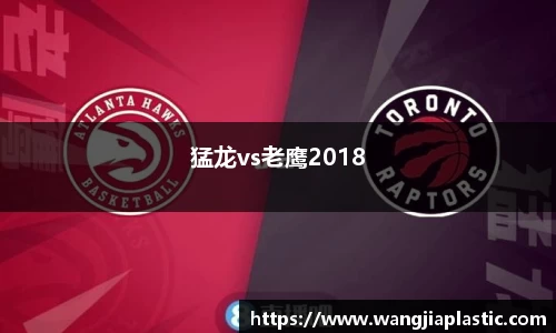 猛龙vs老鹰2018