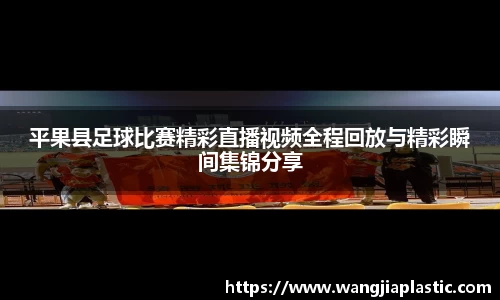 威客电竞下载