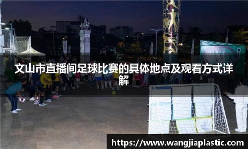 威客电竞下载