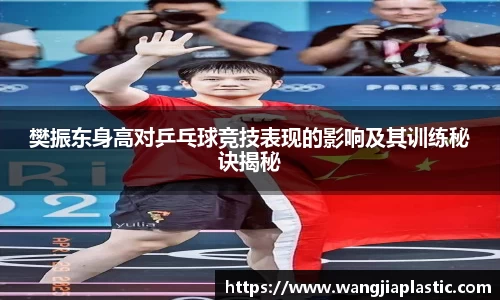 樊振东身高对乒乓球竞技表现的影响及其训练秘诀揭秘