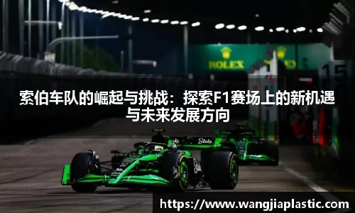 威客电竞下载