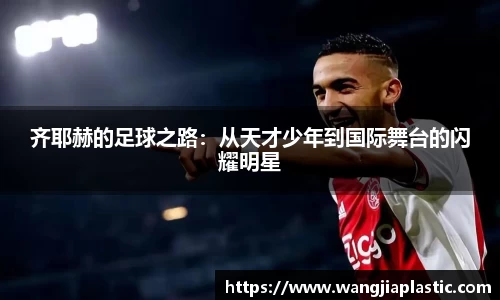 威客电竞APP